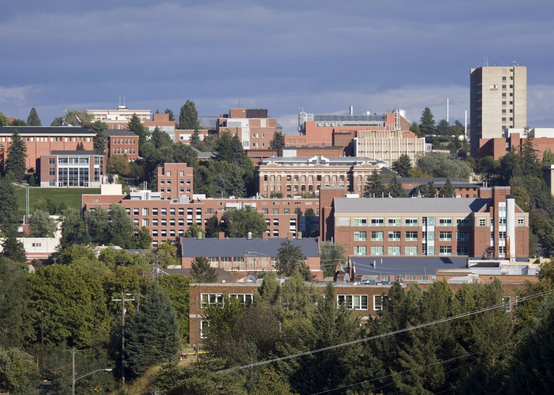 Washington: Washington State University